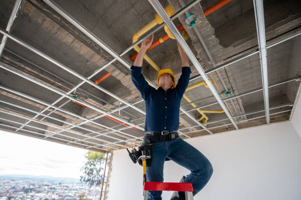 Best Plumbing Repair Near Me  in Lonsdale, MN