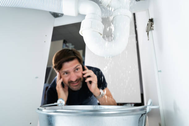 Best Toilet Repair Services  in Lonsdale, MN